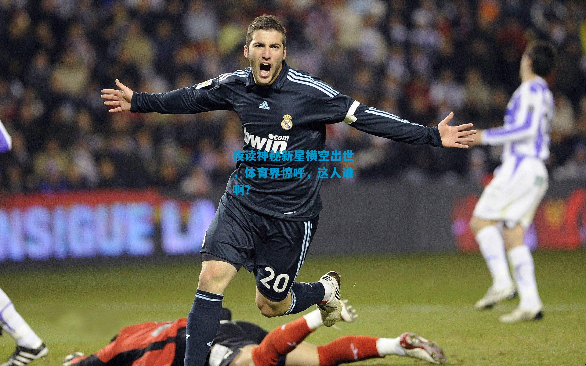 夜读神秘新星横空出世，体育界惊呼，这人谁啊？